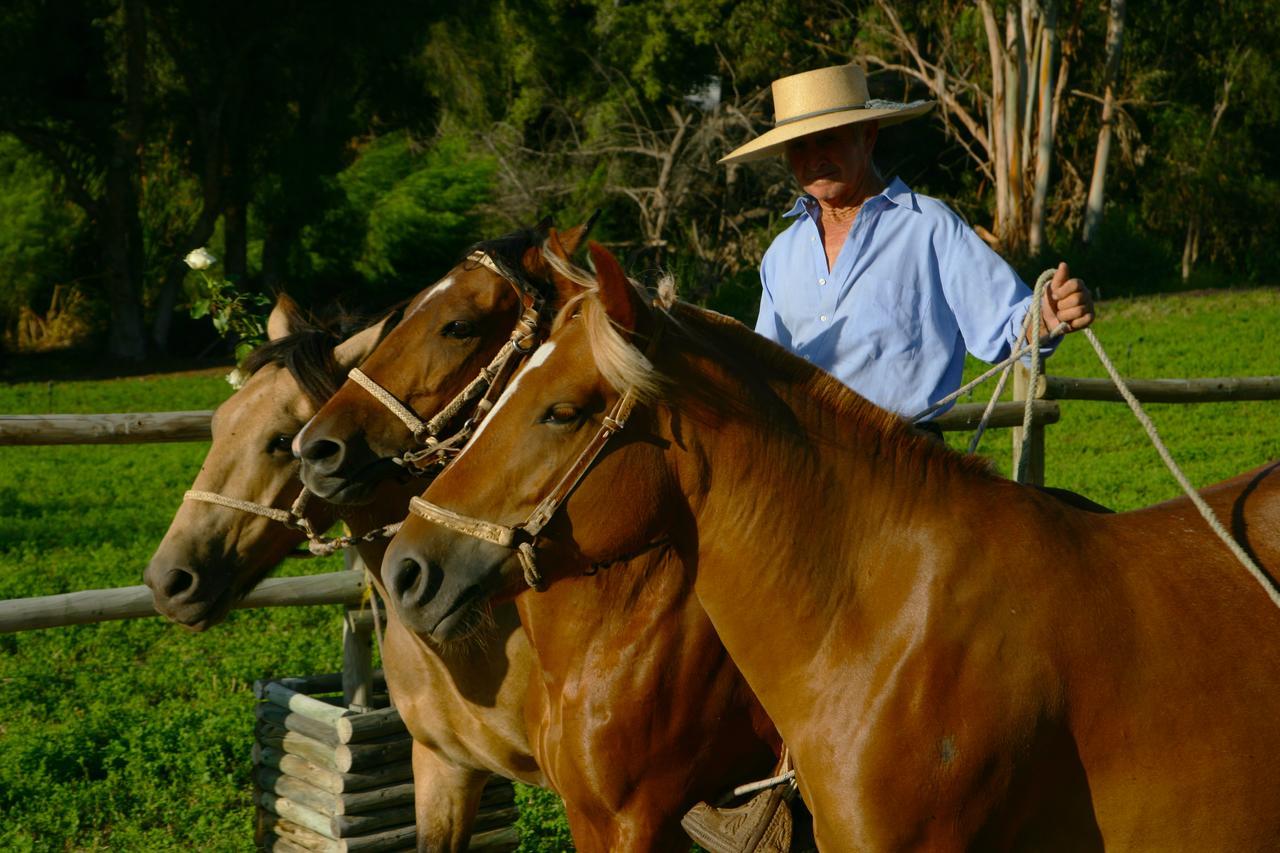 מלון אובאייה Hacienda Santa Cristina מראה חיצוני תמונה