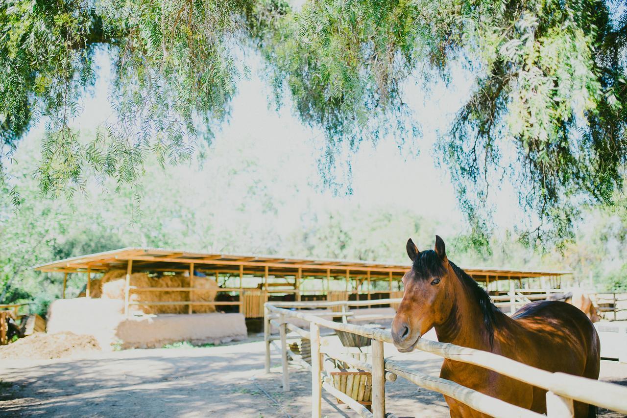 מלון אובאייה Hacienda Santa Cristina מראה חיצוני תמונה