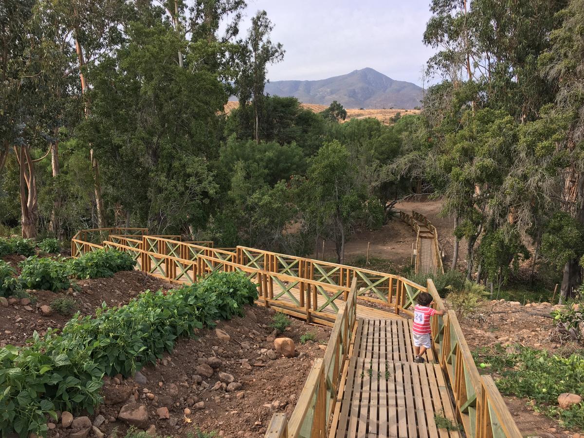 מלון אובאייה Hacienda Santa Cristina מראה חיצוני תמונה