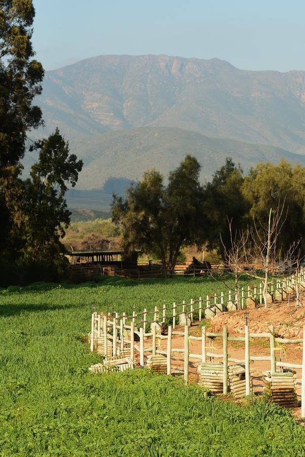 מלון אובאייה Hacienda Santa Cristina מראה חיצוני תמונה