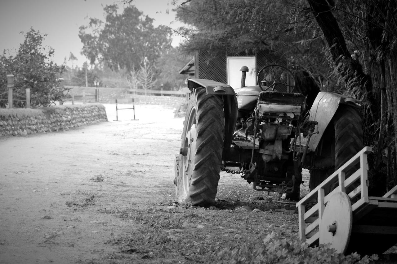 מלון אובאייה Hacienda Santa Cristina מראה חיצוני תמונה